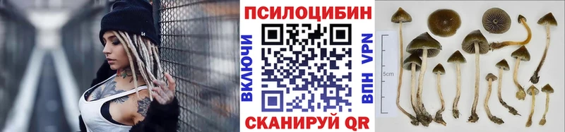 Галлюциногенные грибы Magic Shrooms  Купить закладки  Шебекино 